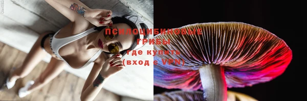 прущие крисы Богородицк