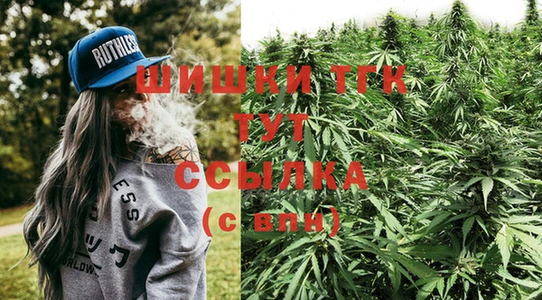 гидра Бронницы