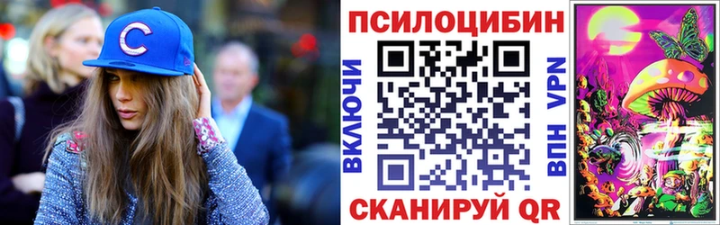 Галлюциногенные грибы Psilocybe  Волосово 